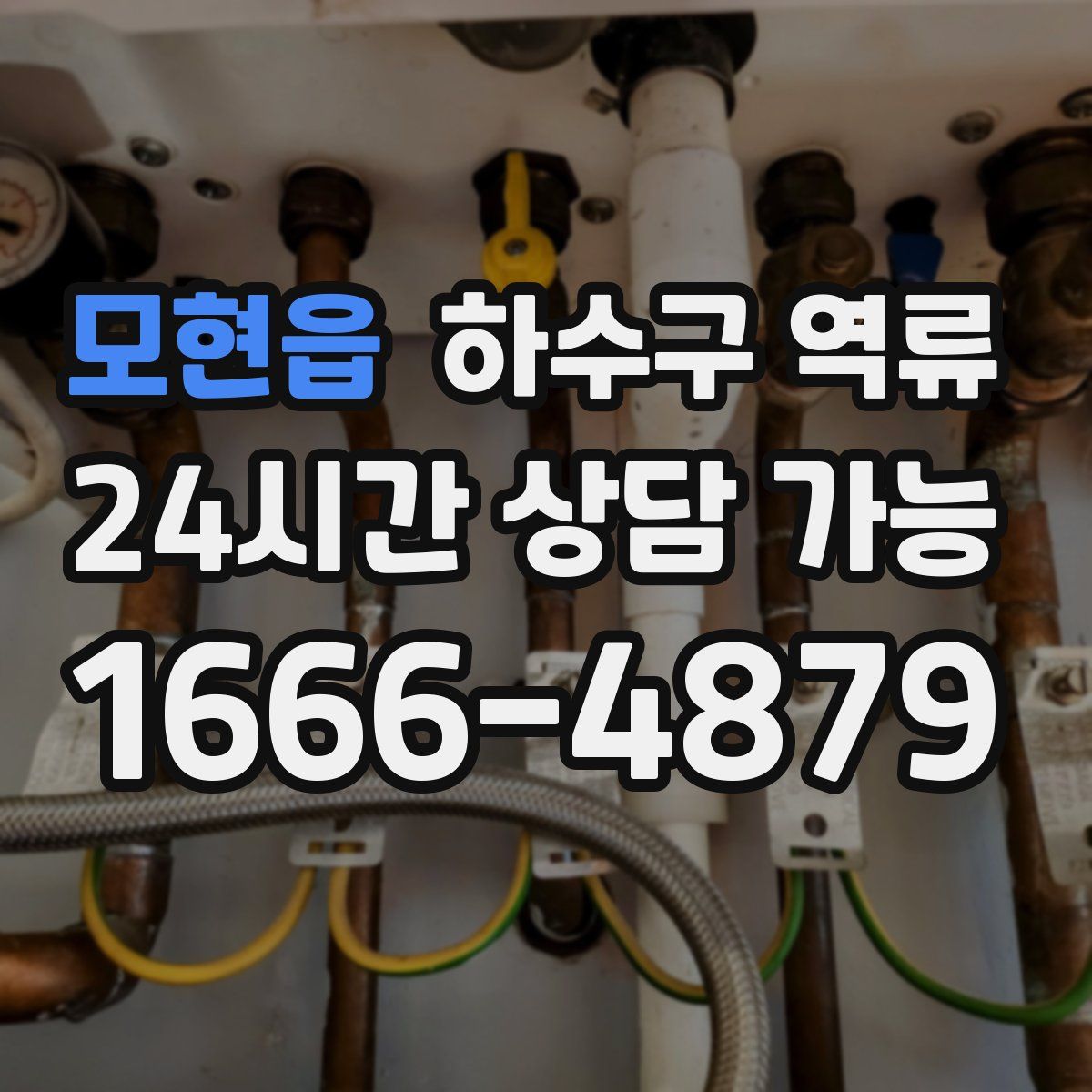 모현읍 하수구 역류