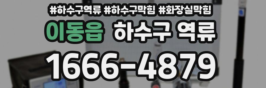 이동읍 하수구 역류