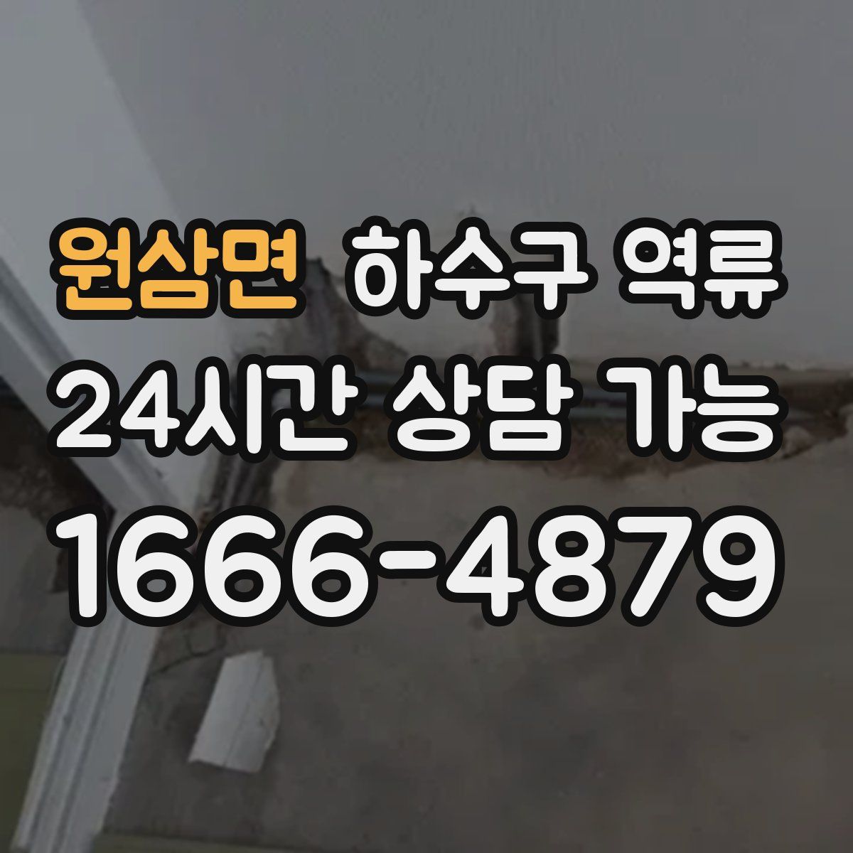 원삼면 하수구 역류