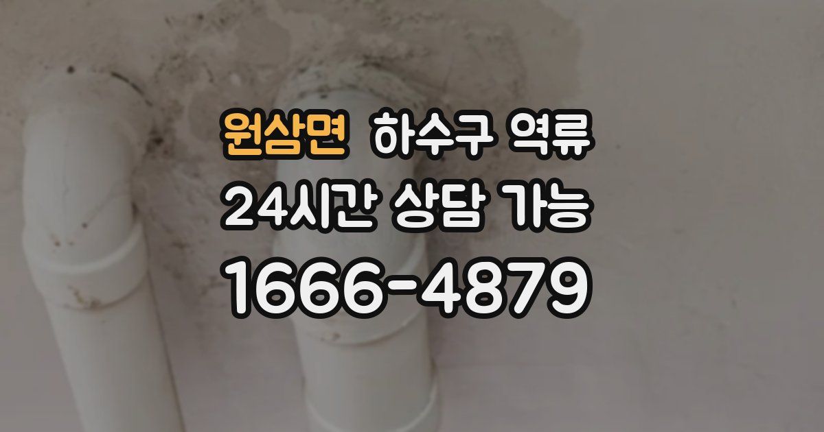 원삼면 하수구 역류