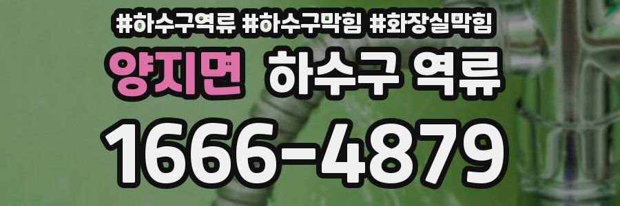 양지면 하수구 역류