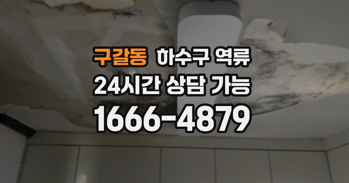 구갈동 하수구 역류