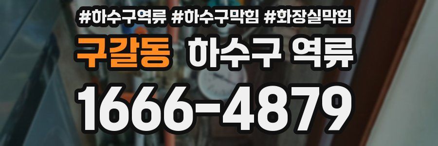 구갈동 하수구 역류