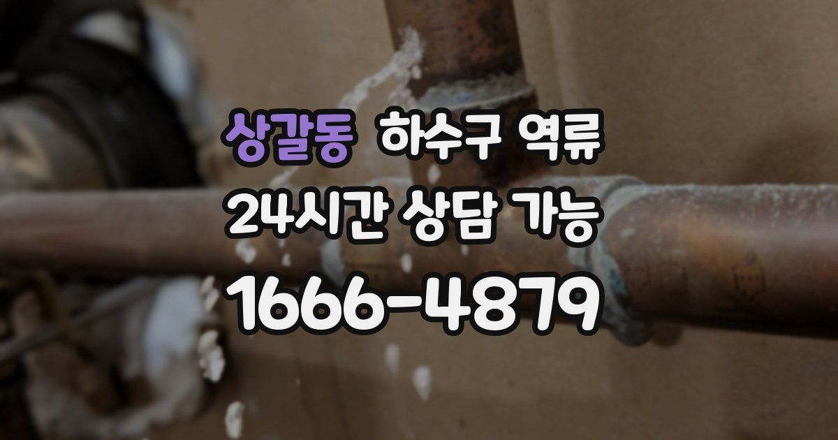 상갈동 하수구 역류