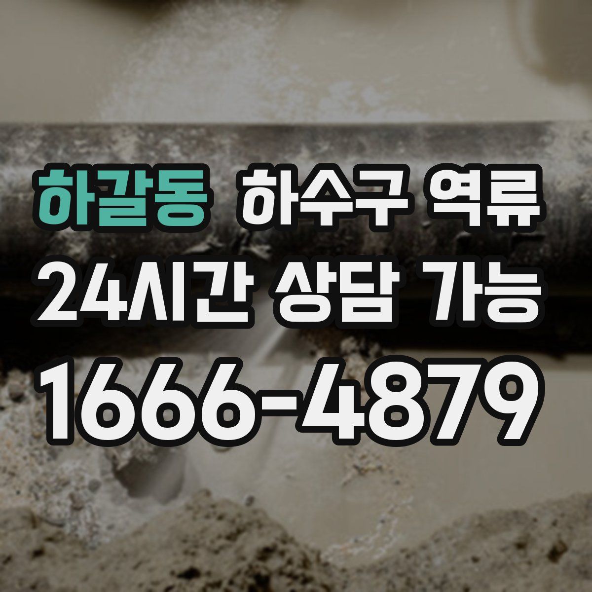 하갈동 하수구 역류