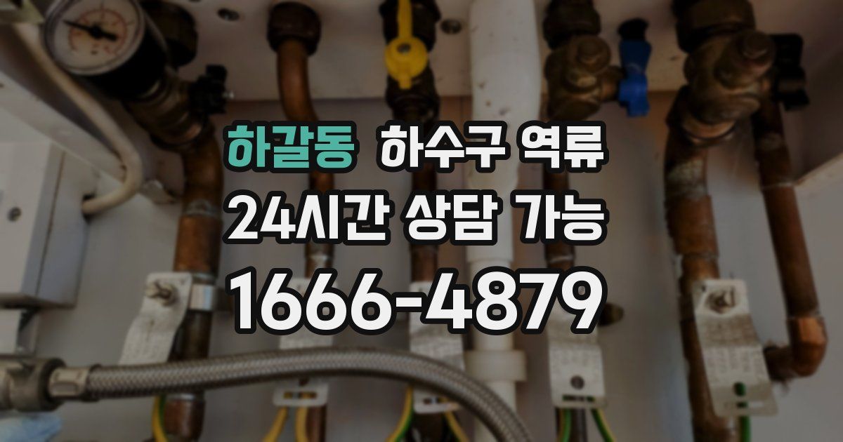 하갈동 하수구 역류