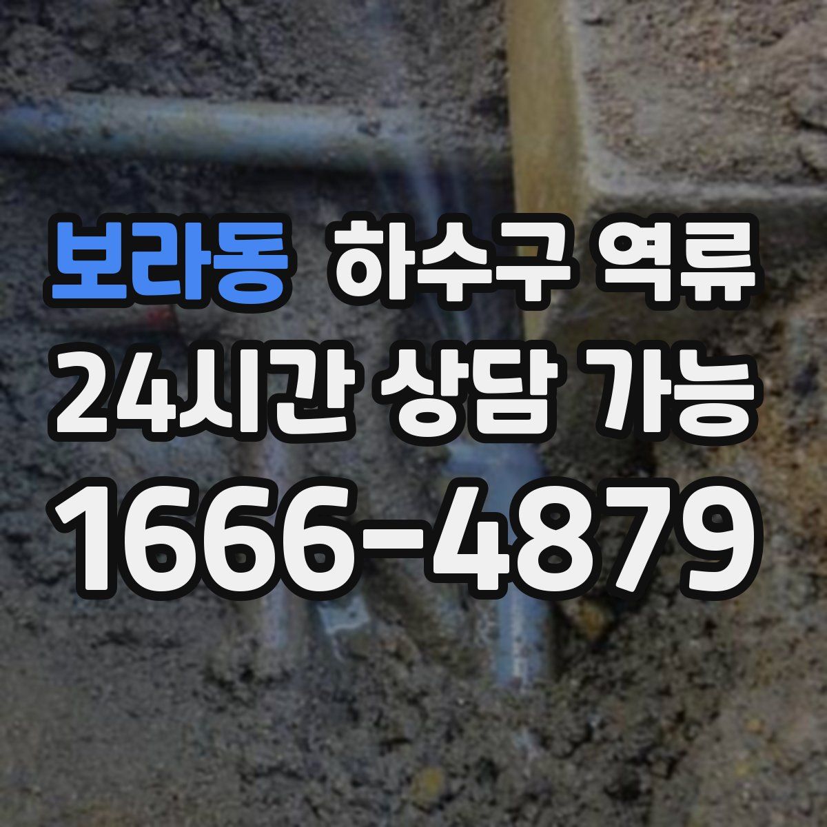 보라동 하수구 역류