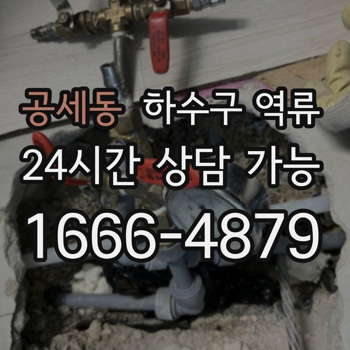 공세동 하수구 역류