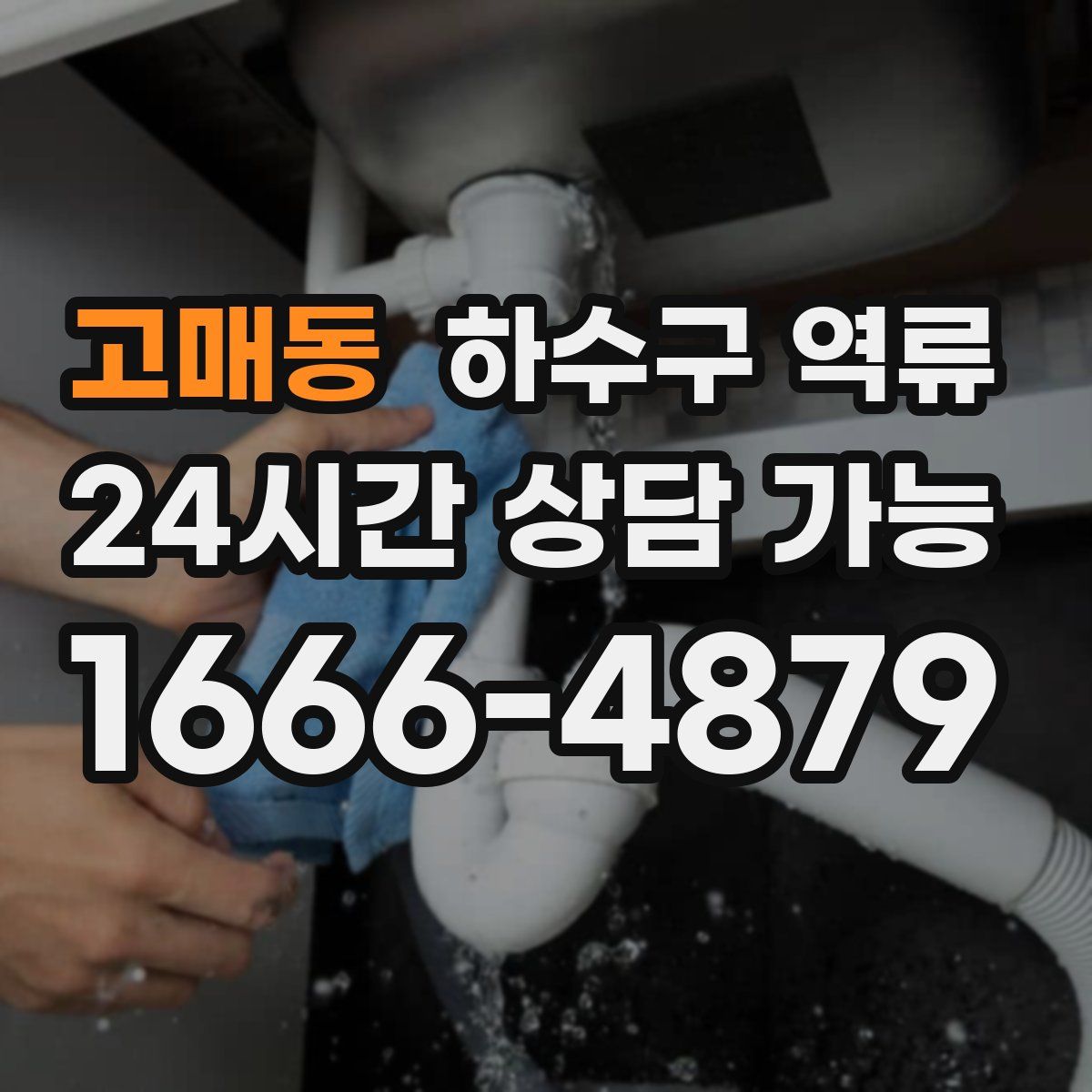 고매동 하수구 역류
