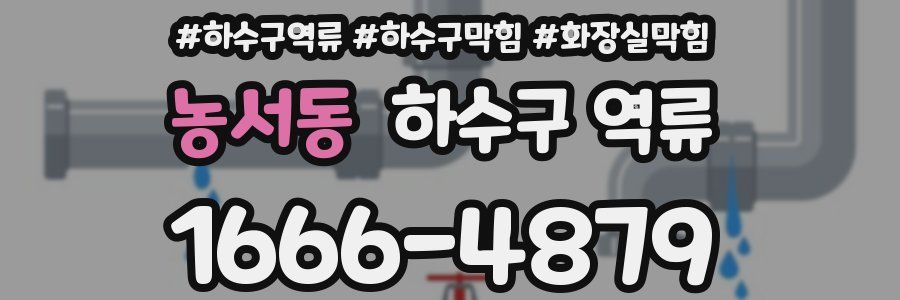 농서동 하수구 역류