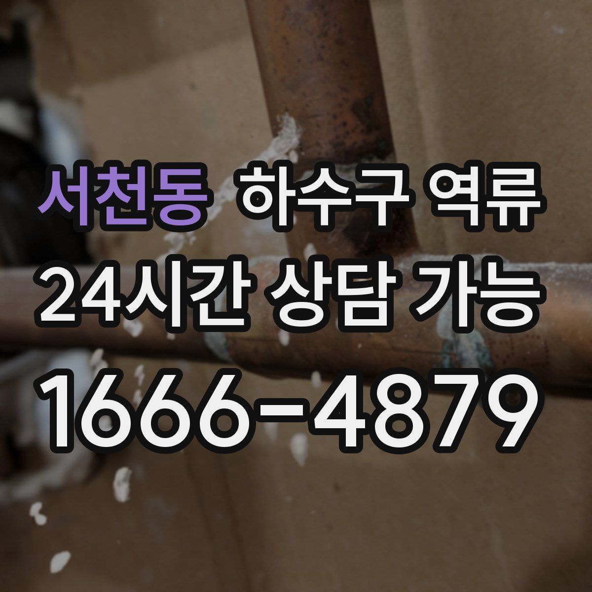 서천동 하수구 역류