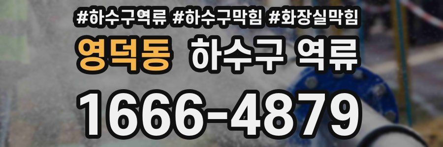 영덕동 하수구 역류