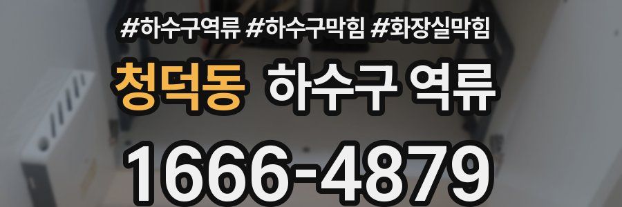 청덕동 하수구 역류