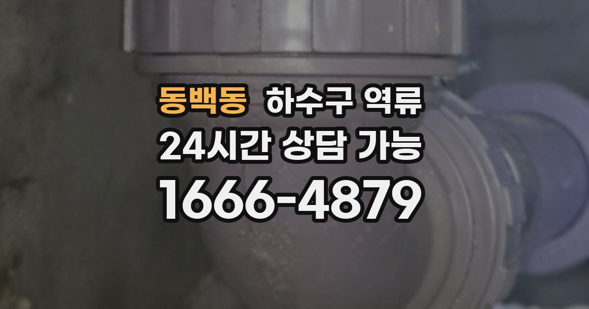 동백동 하수구 역류