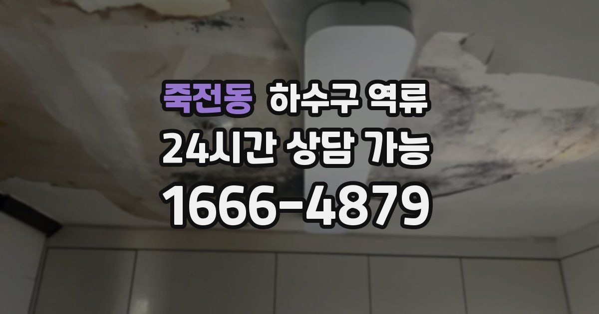 죽전동 하수구 역류