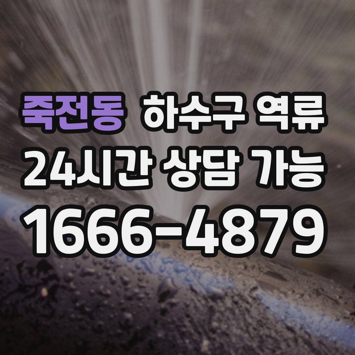 죽전동 하수구 역류