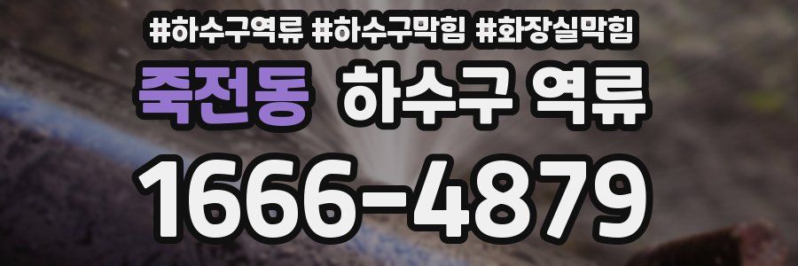 죽전동 하수구 역류