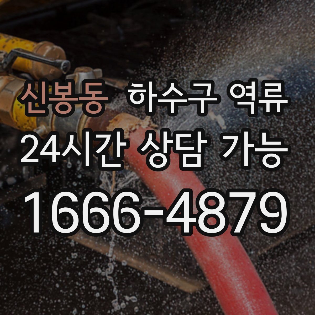 신봉동 하수구 역류