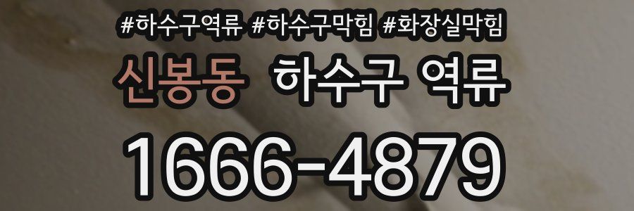 신봉동 하수구 역류