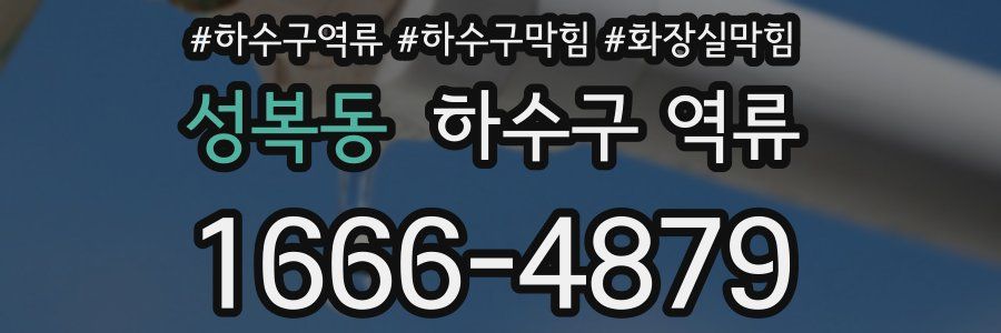 성복동 하수구 역류