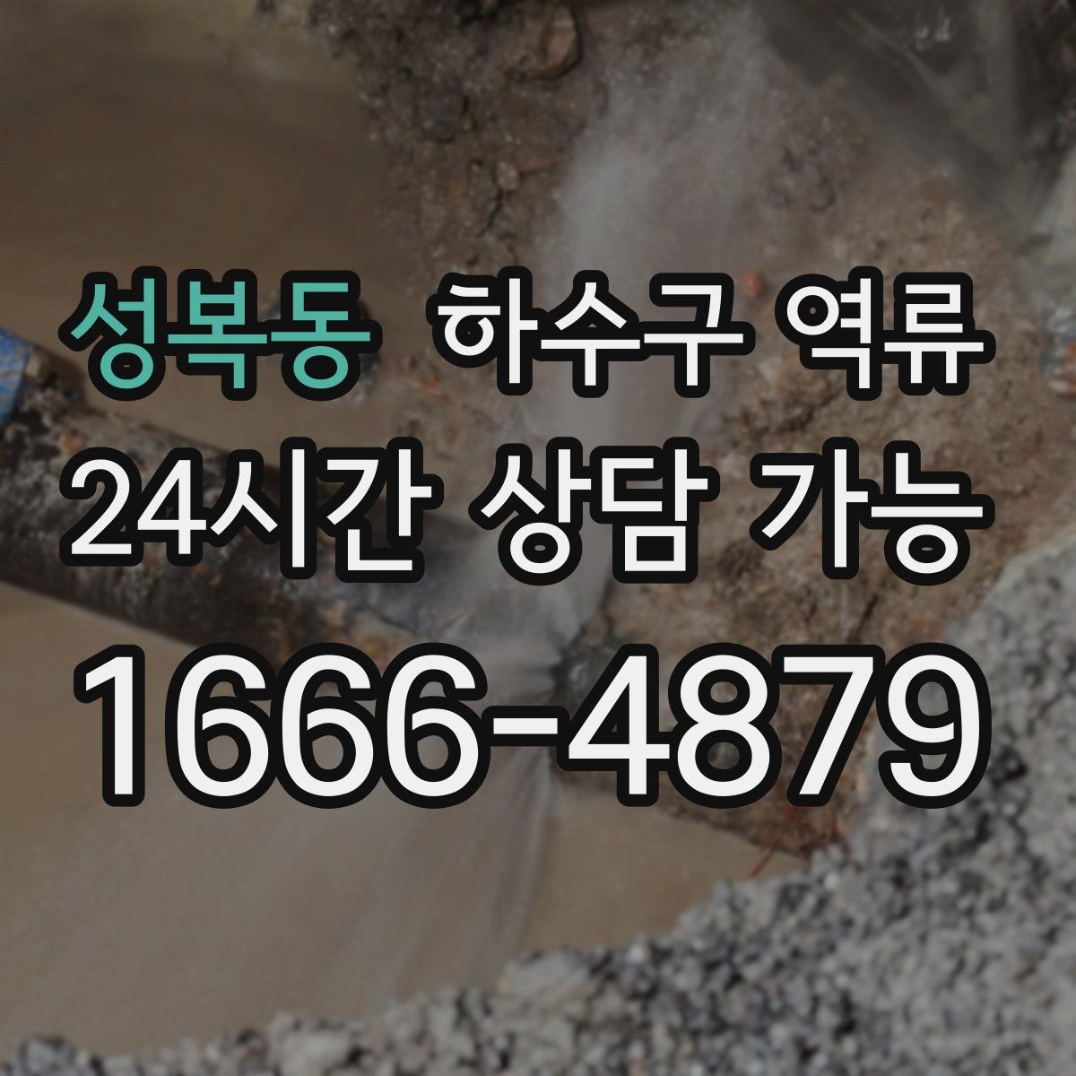 성복동 하수구 역류