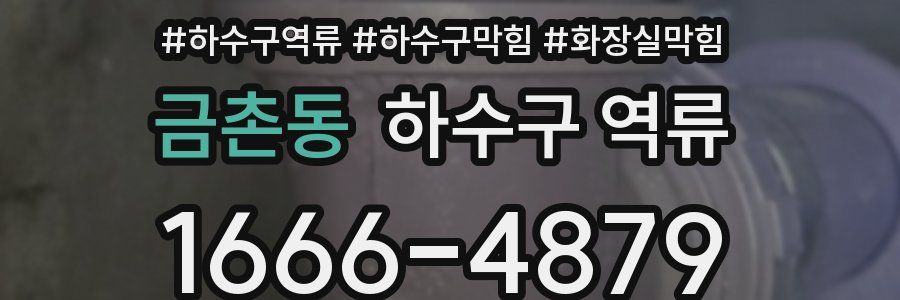 금촌동 하수구 역류
