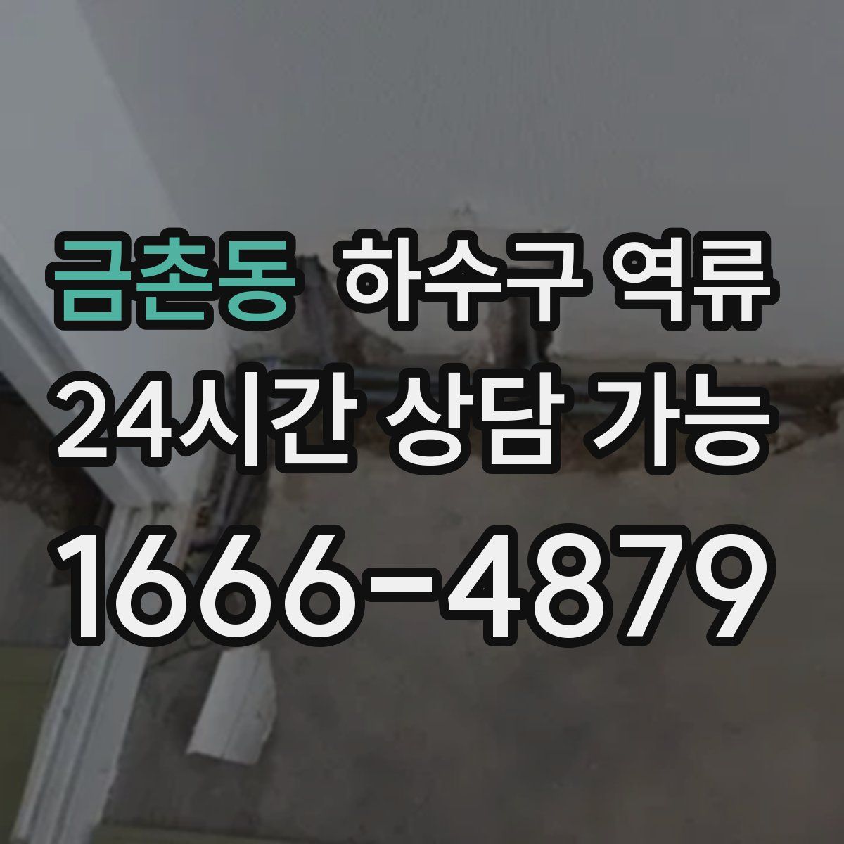 금촌동 하수구 역류