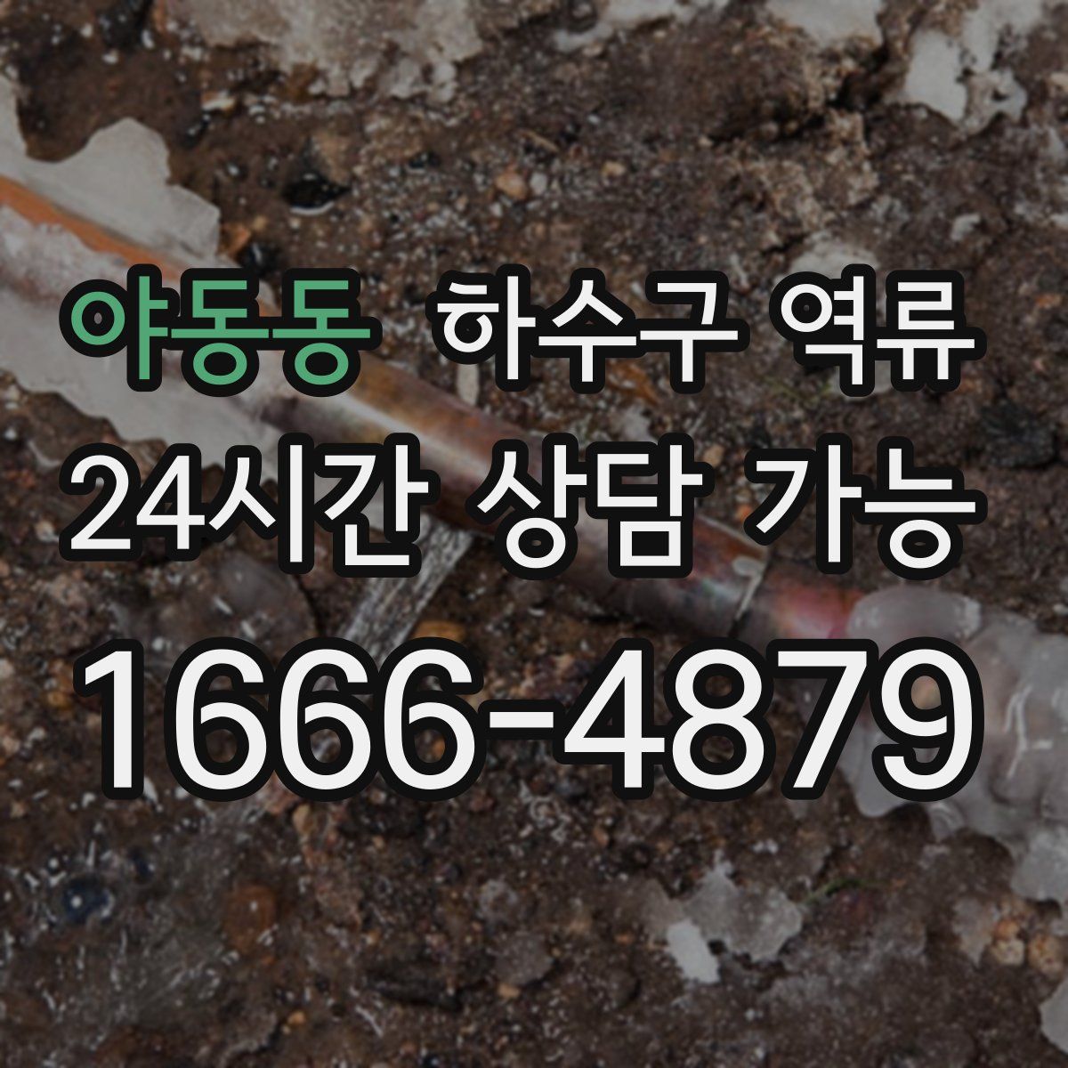 야동동 하수구 역류