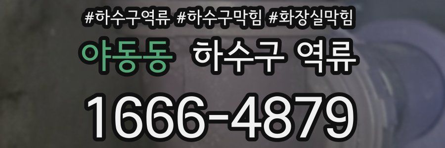 야동동 하수구 역류