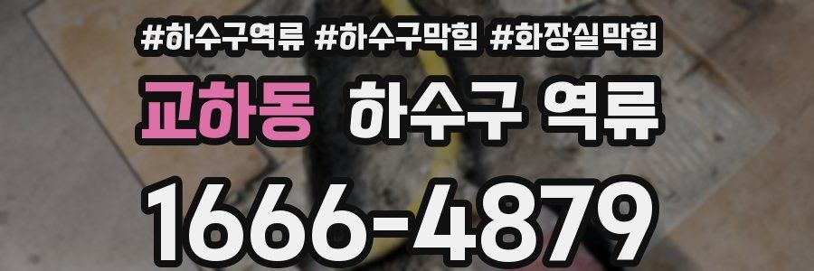 교하동 하수구 역류