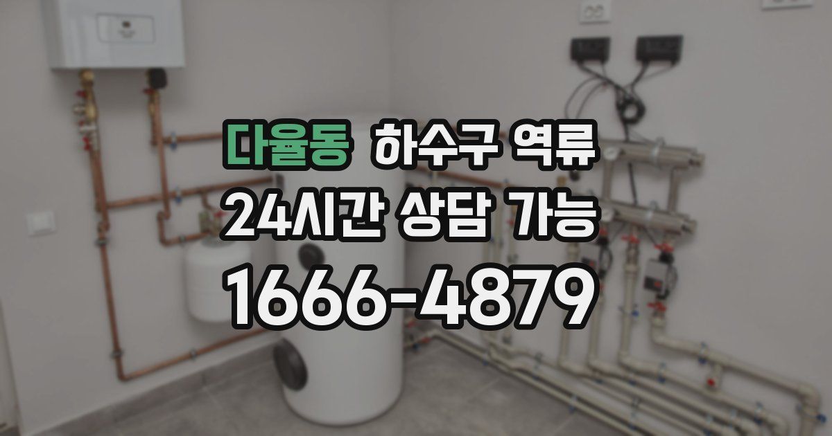 다율동 하수구 역류