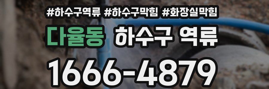다율동 하수구 역류