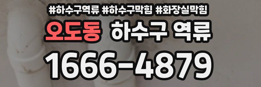 오도동 하수구 역류