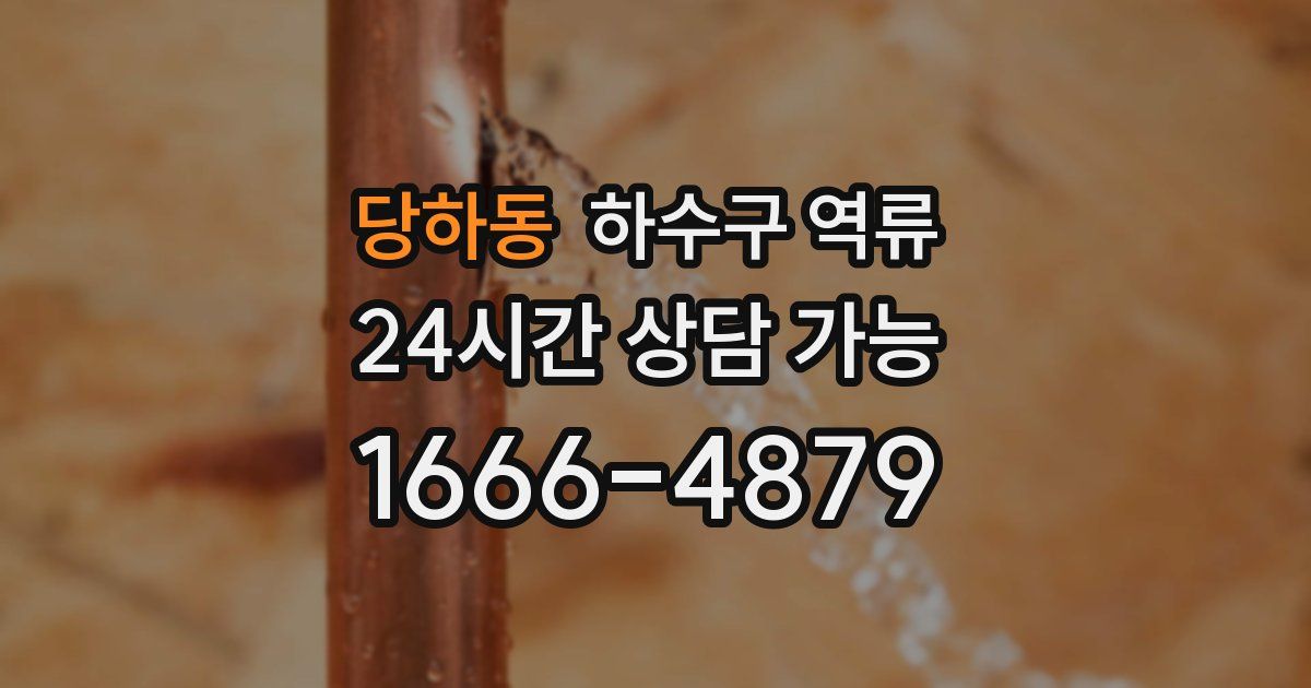 당하동 하수구 역류