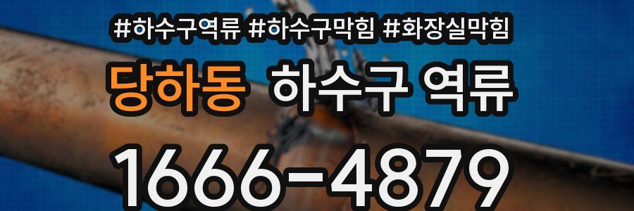 당하동 하수구 역류