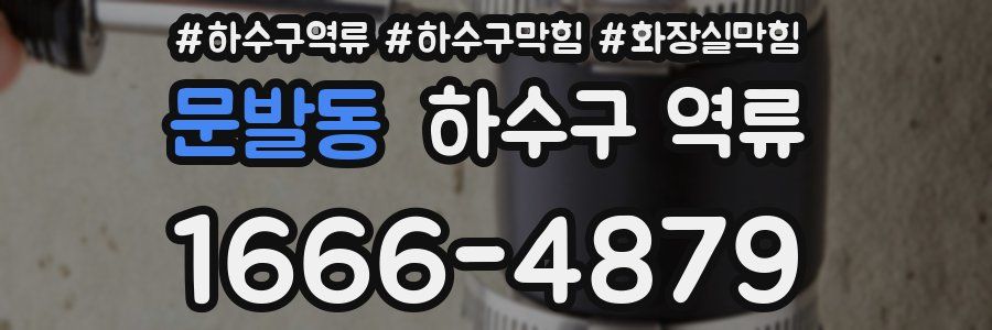 문발동 하수구 역류