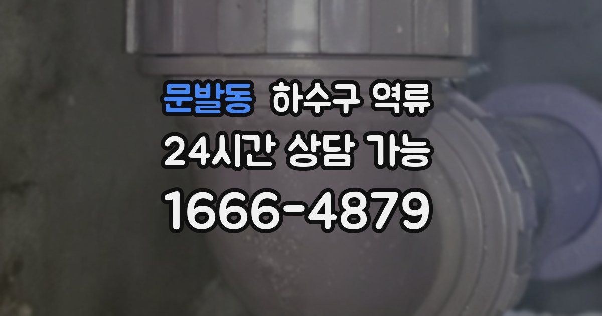 문발동 하수구 역류