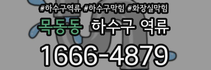 목동동 하수구 역류