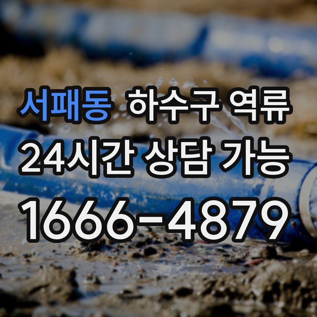 서패동 하수구 역류