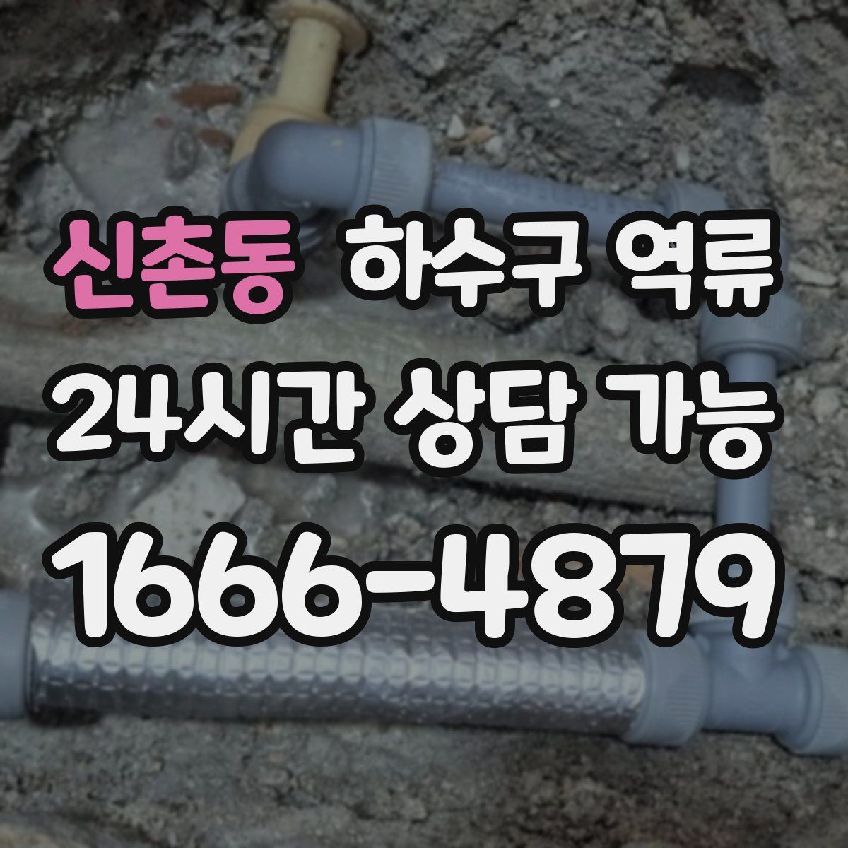 신촌동 하수구 역류