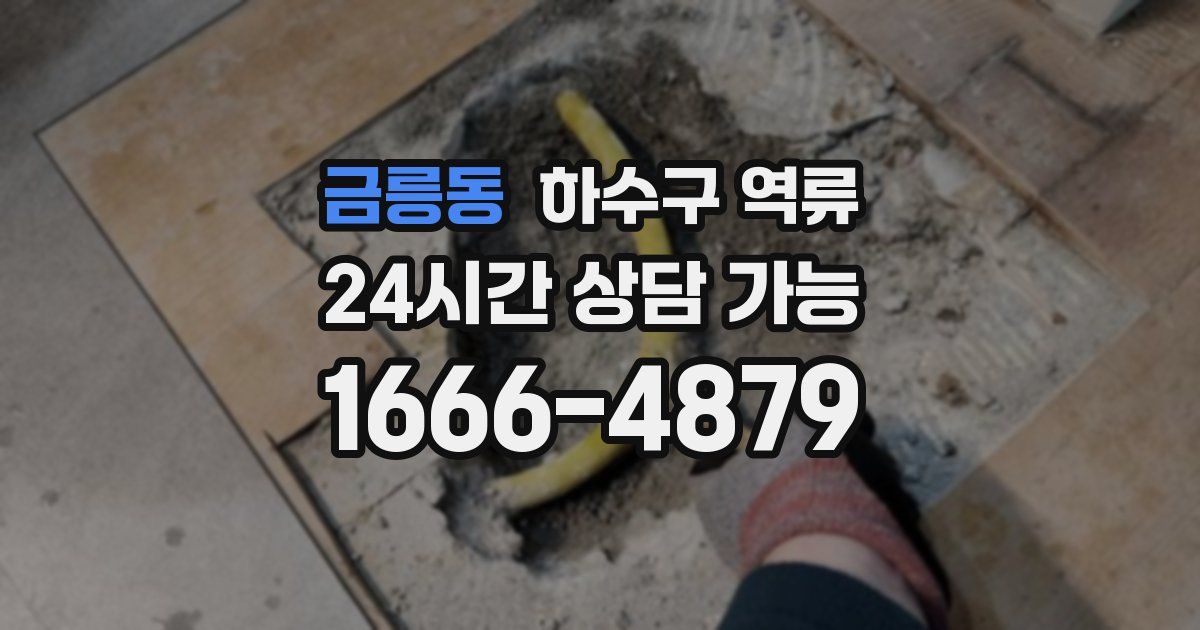 금릉동 하수구 역류