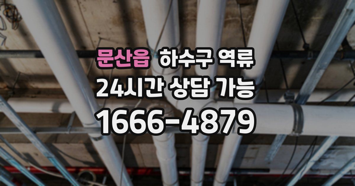 문산읍 하수구 역류