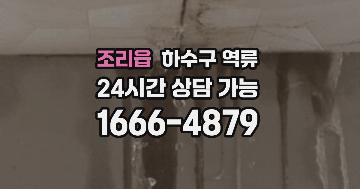 조리읍 하수구 역류