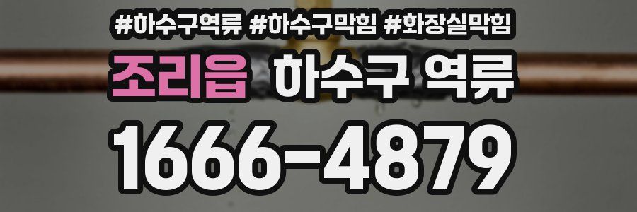 조리읍 하수구 역류