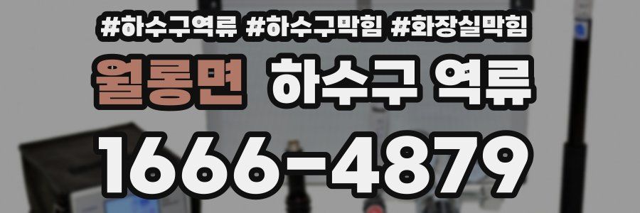 월롱면 하수구 역류