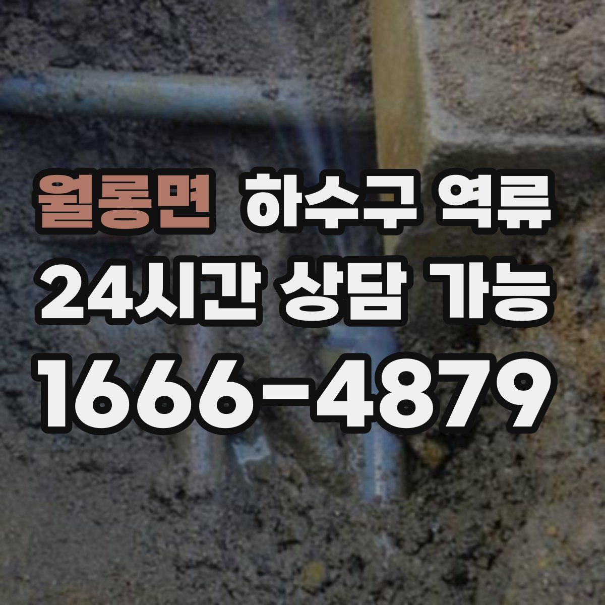월롱면 하수구 역류