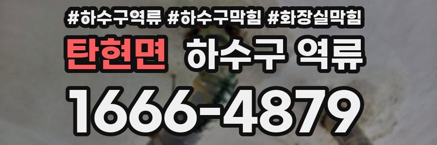 탄현면 하수구 역류