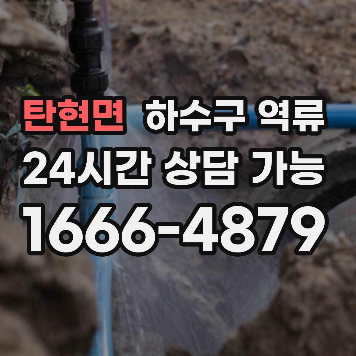 탄현면 하수구 역류