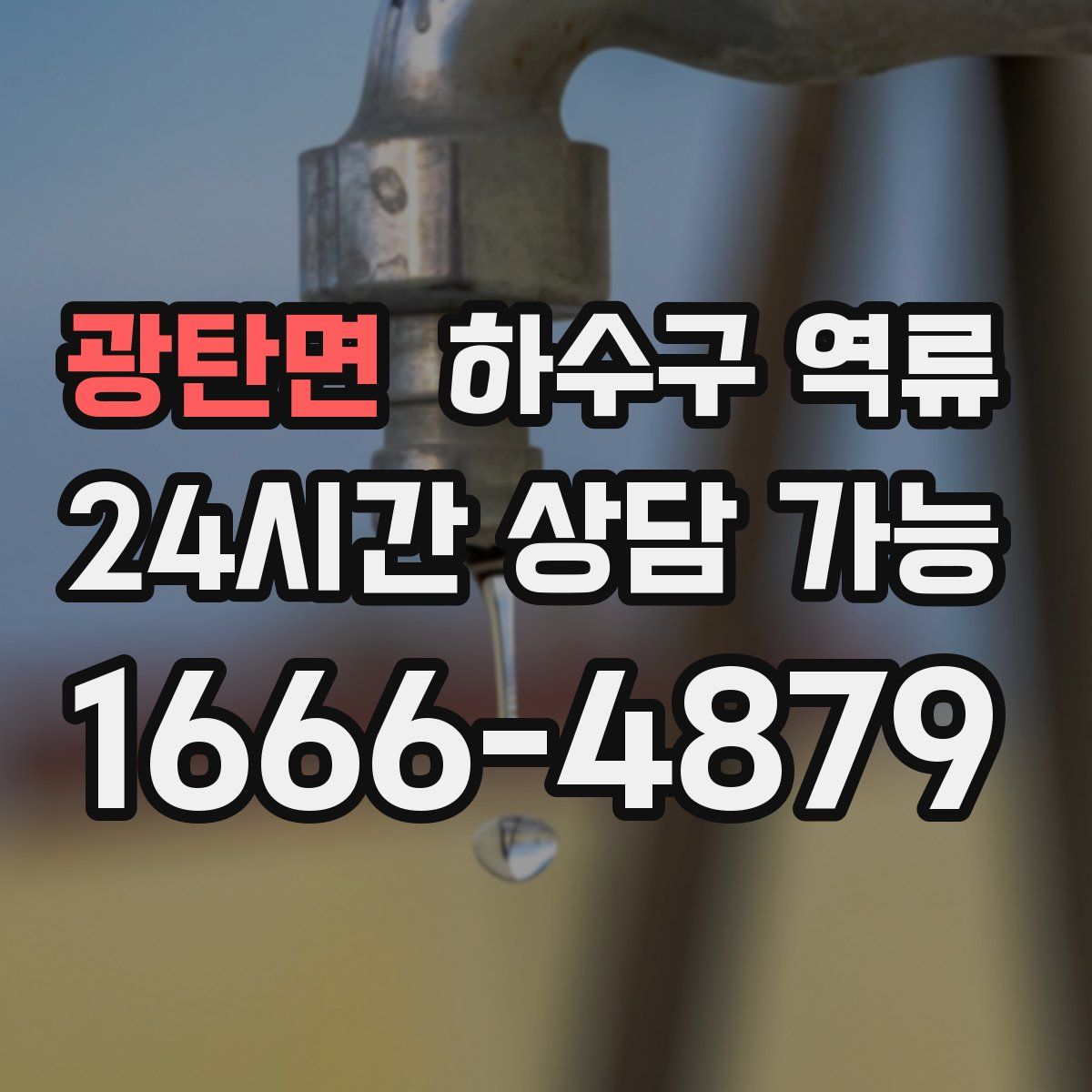 광탄면 하수구 역류