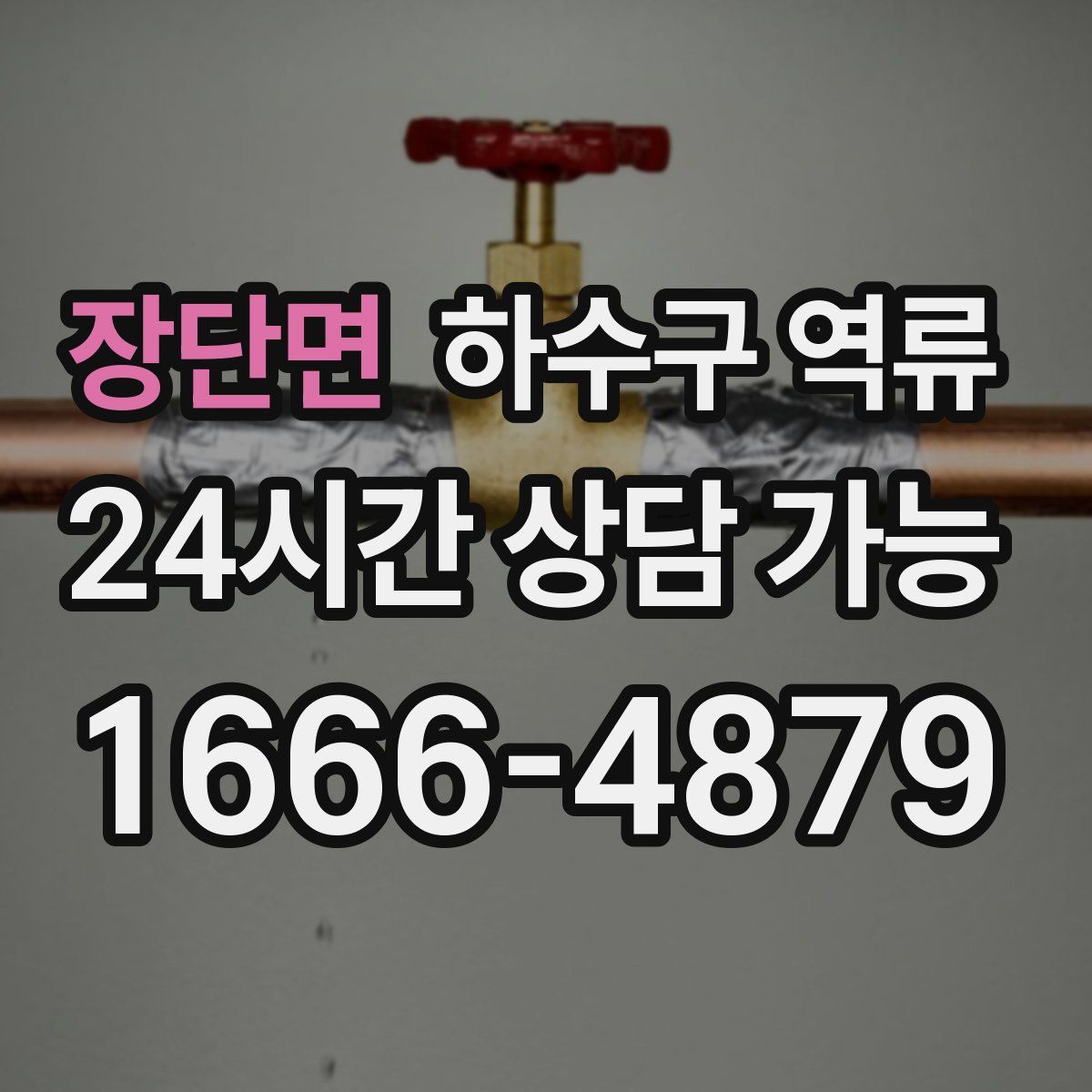 장단면 하수구 역류